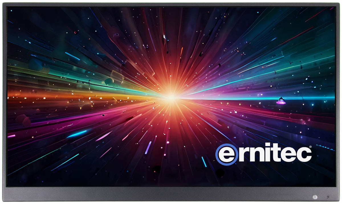 Ernitec 22" Surveillance monitor for 24/7 Use, 1080P Resolution 2 x HDMI 2.0, 1 x VGA Port,1 x RJ45 (PoE IN) , 2 x Speakers