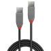 Lindy 0.2m USB 2.0 Type A to A Cable, Anthra Line