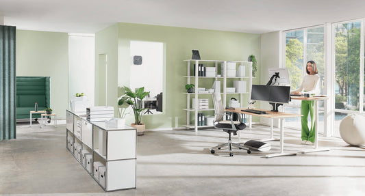 Leitz Ergo Space Saving Dual Monitor Arm