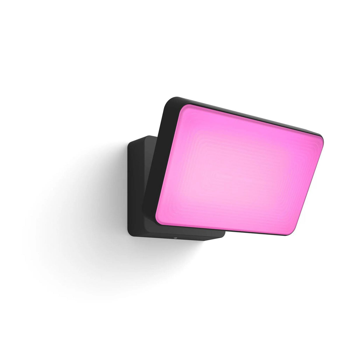 Philips by Signify Hue Outdoor Discover nd colour ambience Discover Outdoor Floodlight, Smart wall light, Black, LED, Non-changeable bulb(s),