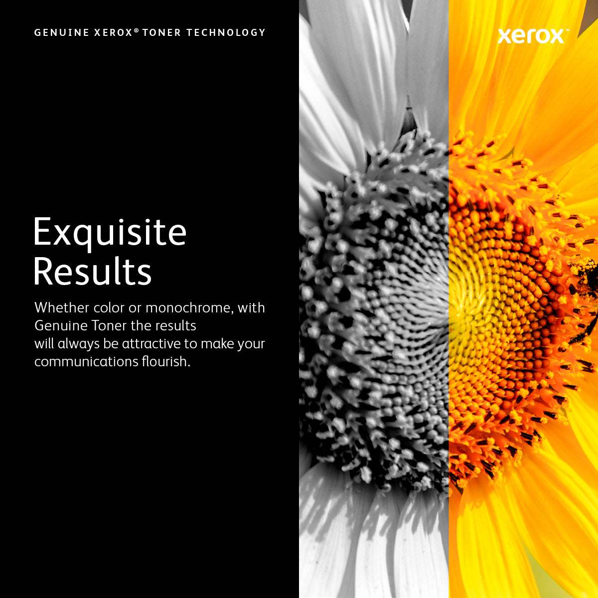 Xerox 106R04050 Toner-kit cyan, 16.5K pages for Xerox VersaLink C 8000
