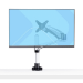 StarTech.com Desk Mount Monitor Arm For 27in 16:9 or 30in 21:9 Ultrawide Screens, VESA 75x75/100x100, Tool-Less Mechanical Spring Arm, C-Clamp/Grommet, TAA