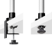 StarTech.com Desk Mount Monitor Arm For 27in 16:9 or 30in 21:9 Ultrawide Screens, VESA 75x75/100x100, Tool-Less Mechanical Spring Arm, C-Clamp/Grommet, TAA