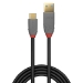 Lindy 0.5m USB 3.2 Type A to C Cable, 10Gbps, 5A, PD, Anthra Line