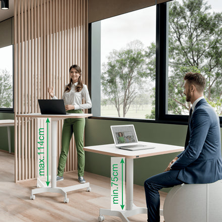 Leitz Ergo Small Sit Standing Desk