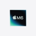 Apple Mac mini Apple M M6 16 GB 256 GB SSD macOS 27 Golden Gate Mini PC Silver