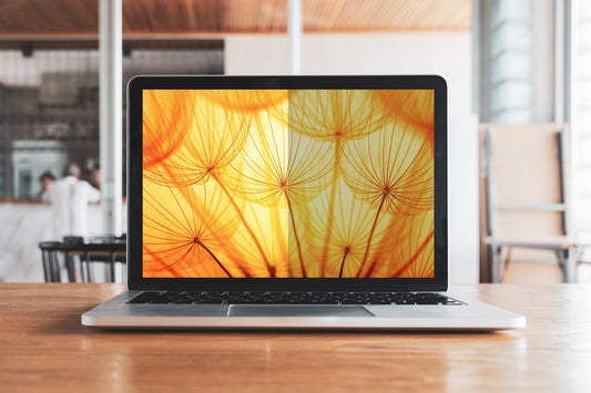 3M Bright Screen Privacy Filter for Microsoft® Surface® Pro 4, 5, 6, 7 12.3in, 3:2, BPTMS001