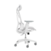 ASUS ROG Destrier Core Universal gaming chair Padded seat White
