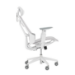 ASUS ROG Destrier Core Universal gaming chair Padded seat White