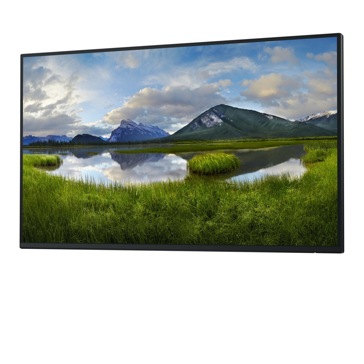 DELL Pro Plus P2725H_WOST computer monitor 68.6 cm (27") 1920 x 1080 pixels Full HD LCD Black
