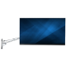 StarTech.com Wall Mount Monitor Arm - Articulating Ergonomic VESA Wall Mount Monitor Arm - 20" (52cm) Long - Single Display up to 34" (30.9lb/14kg) - Swivel/Tilt/Rotate - Adjustable Screen Mount - TAA