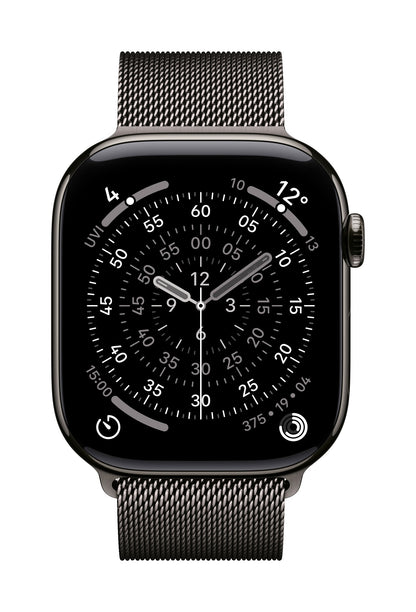 Apple MGJ74ZM/A smart wearable accessory Band Slate colour Stainless steel