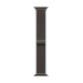 Apple MGJ74ZM/A smart wearable accessory Band Slate colour Stainless steel