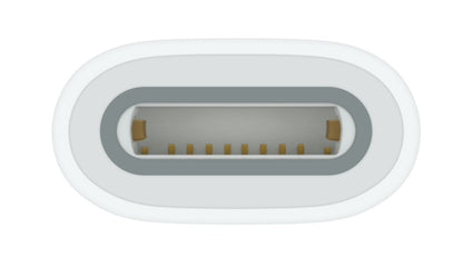 Apple USB-C to Pencil Adapter White 1 pc(s)