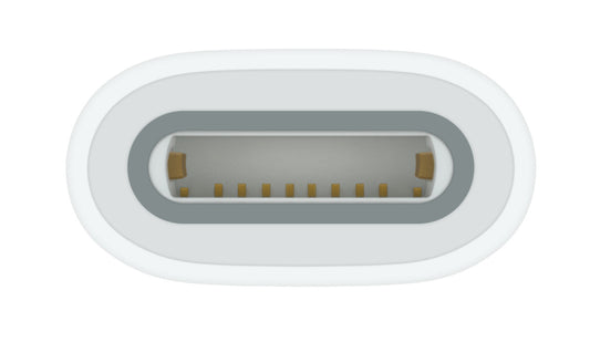 Apple USB-C to Pencil Adapter White 1 pc(s)