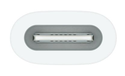 Apple USB-C to Pencil Adapter White 1 pc(s)