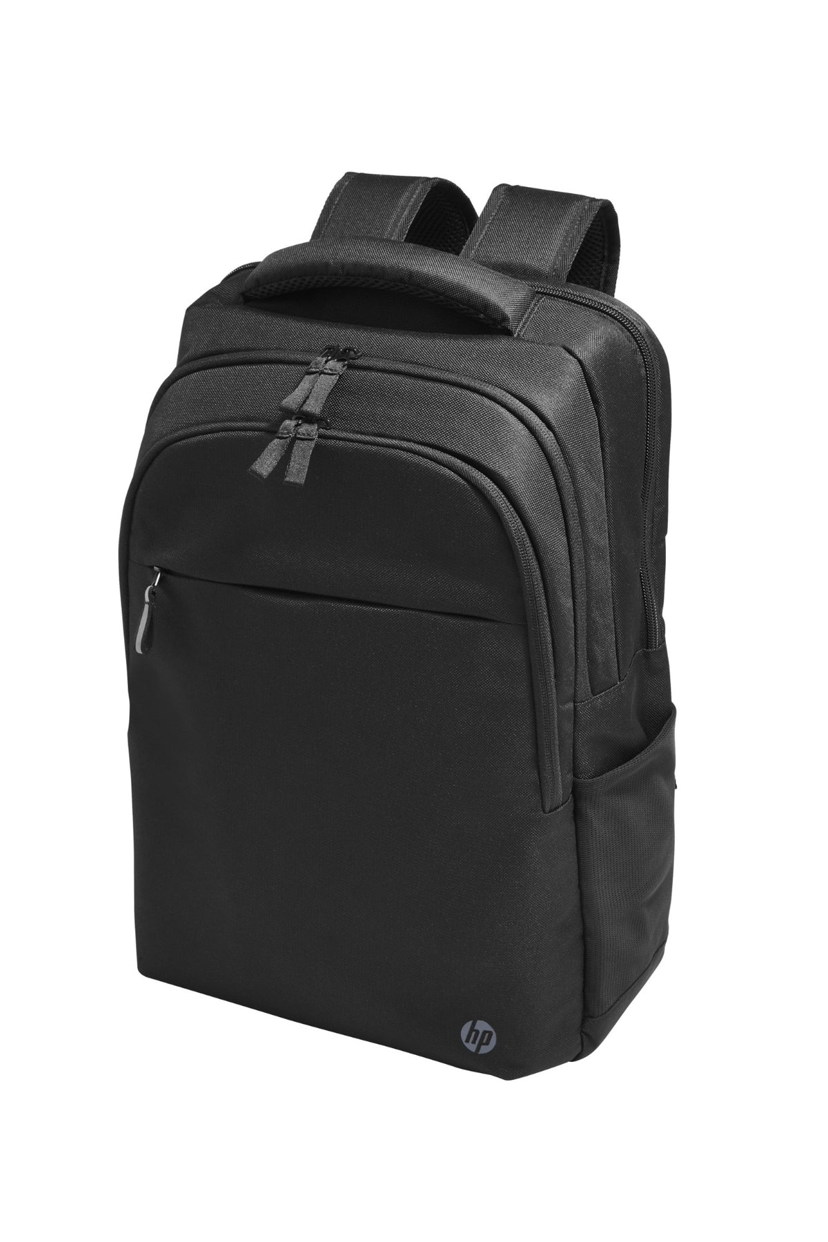HP Professional 17.3-inch Backpack
