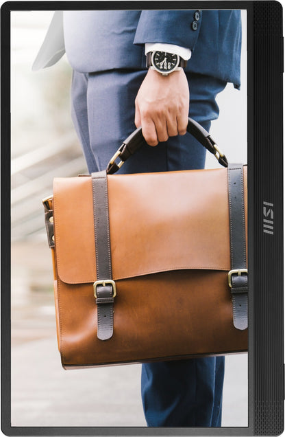 MSI PRO MP161 E2U portable TV/monitor Portable monitor Black 39.6 cm (15.6") LED 1920 x 1080 pixels