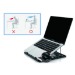 Conceptronic ERGO Laptop Cooling Stand Notebook stand Black 39.6 cm (15.6")