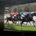 Acer SA322QUA monitor - 31.5" Quad HD, 75Hz, 1ms, AMD FreeSync, HDR 10