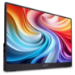 Acer PM161Q B1 Widescreen LCD Monitor