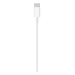 Apple USB-C to Lightning Cable (2m)