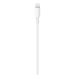Apple USB-C to Lightning Cable (1m)