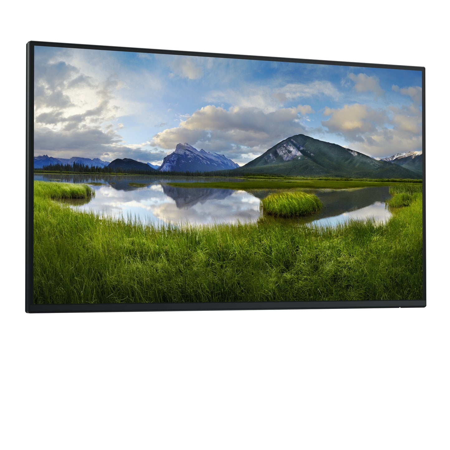 DELL Pro Plus P2725H_WOST computer monitor 68.6 cm (27") 1920 x 1080 pixels Full HD LCD Black