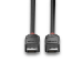 Lindy 1m DisplayPort 1.2 Cable, Black Line