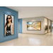 Viewsonic 50" 4K Commercial Display with ProAV Integration
