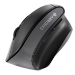 CHERRY MW 4500 Wireless 45 Degree Mouse, Black, USB