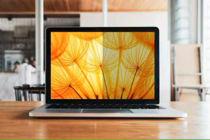 3M BP133W1E display privacy filter 33.8 cm (13.3") Laptop Frameless display privacy filter