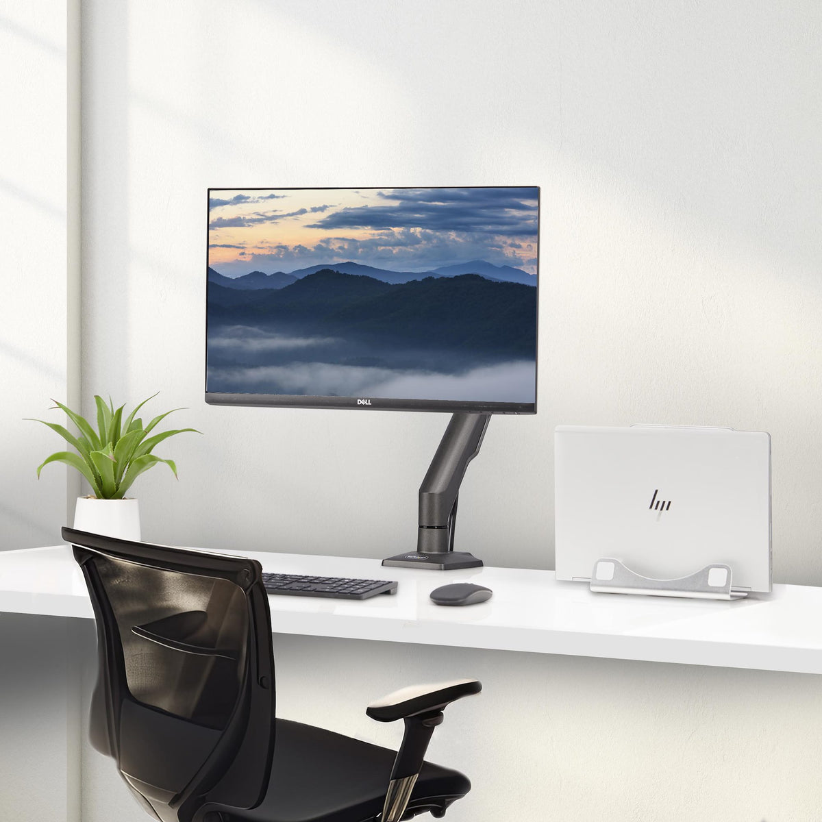 StarTech.com Desk Mount Monitor Arm, Up To 32" Display, Max 22lb/10kg, VESA 75x75/100x100, C-Clamp, Fully Articulating, Mechanical Spring, TAA-compliant
